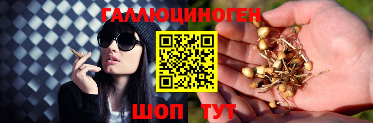 Галлюциногенные грибы ЛСД Знаменск